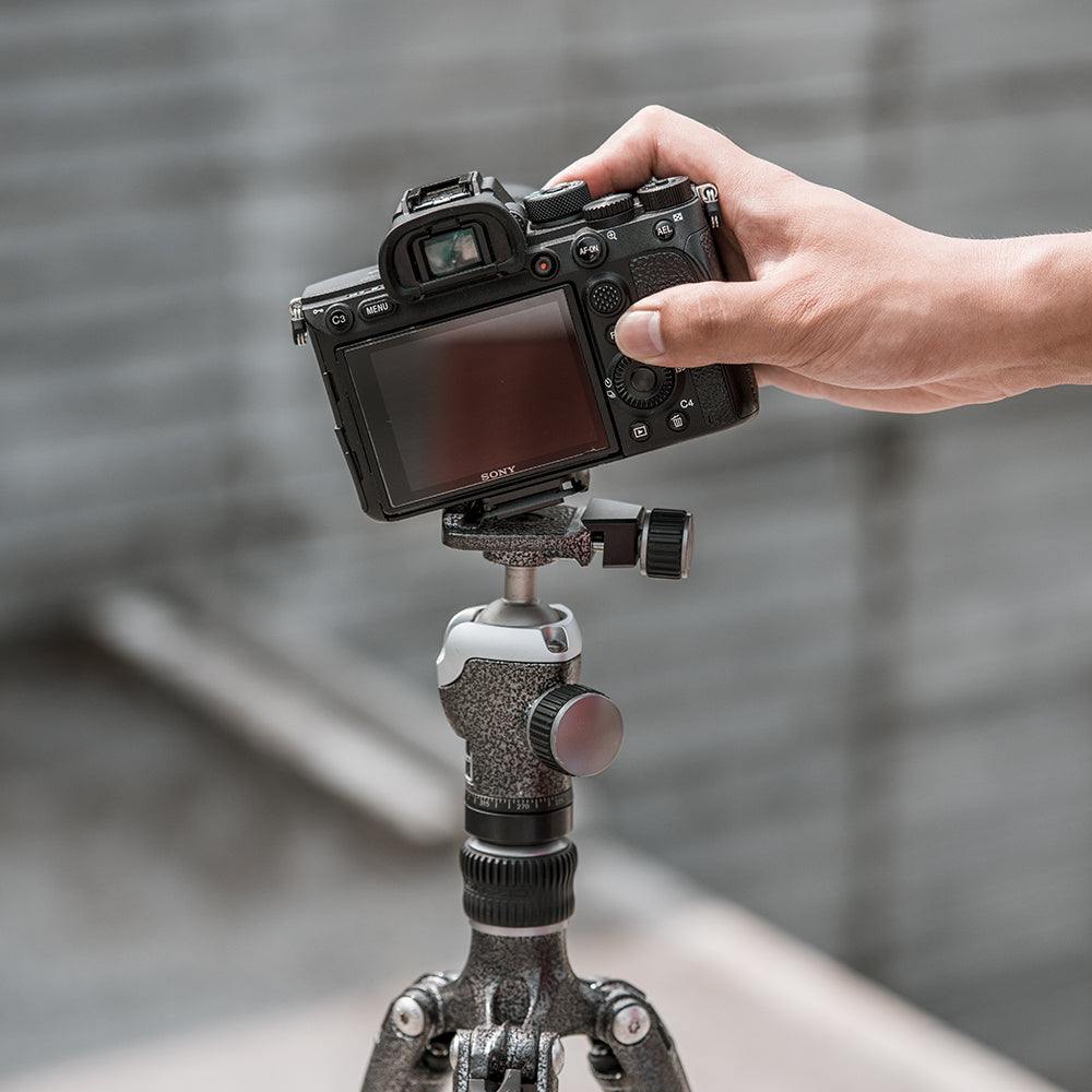 PGYTECH Beetle Camera Clip