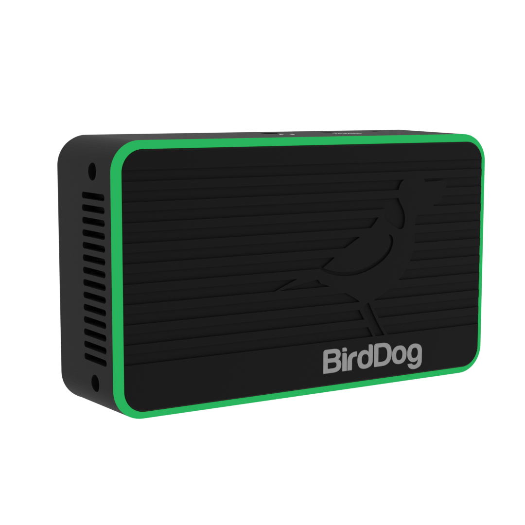 BirdDog Flex 4K OUT