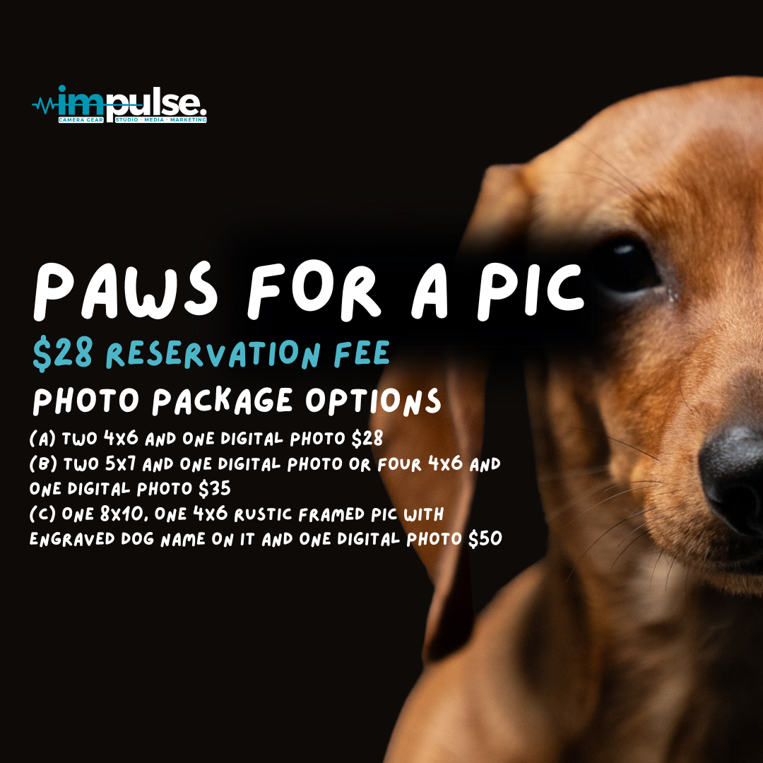 Paws for a Pic: Pet Photo Day Session