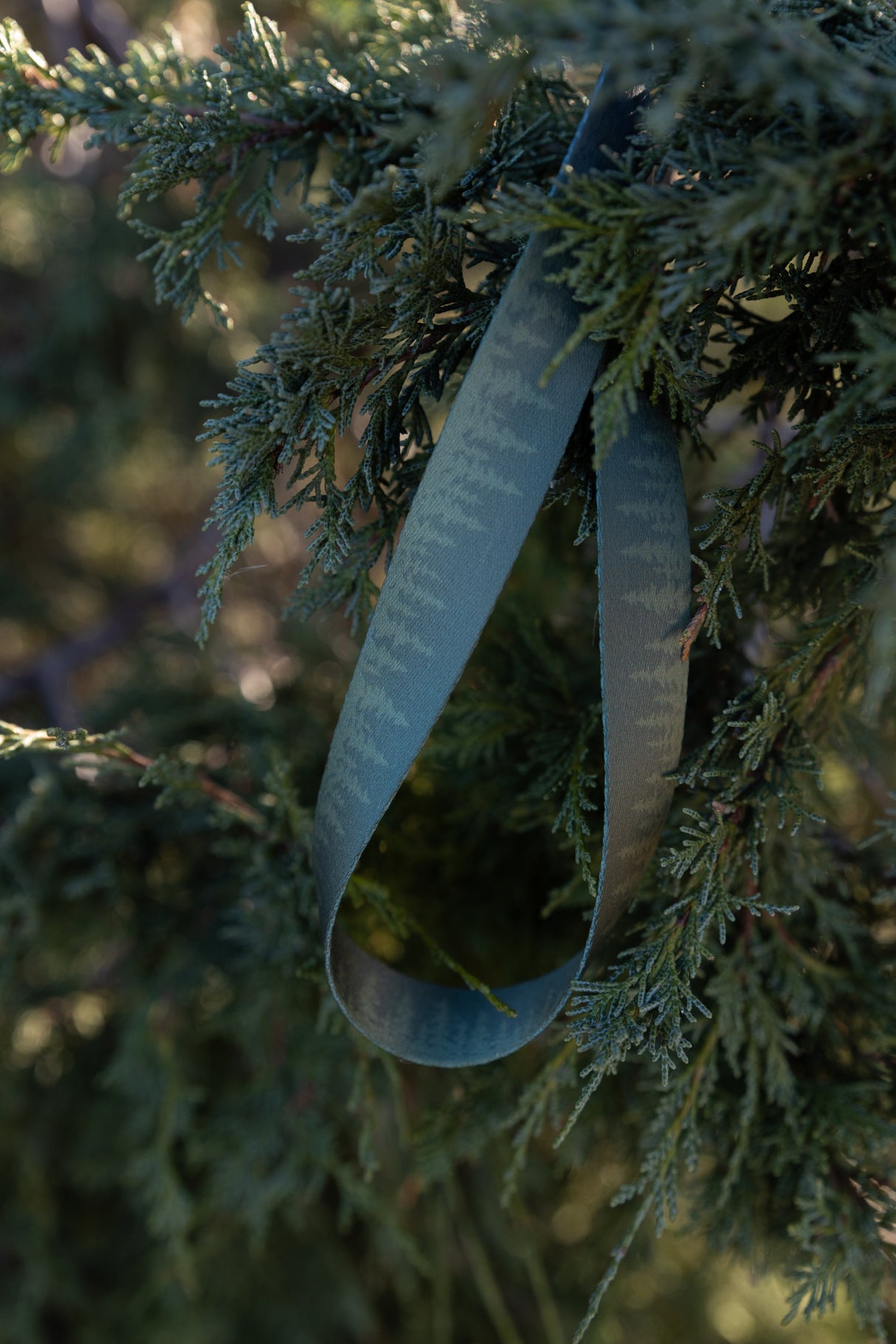 Pinetree Neck Lanyard