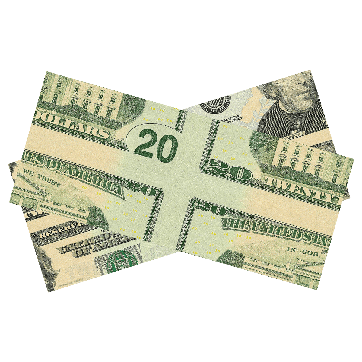 $20 Mis-Made Bills