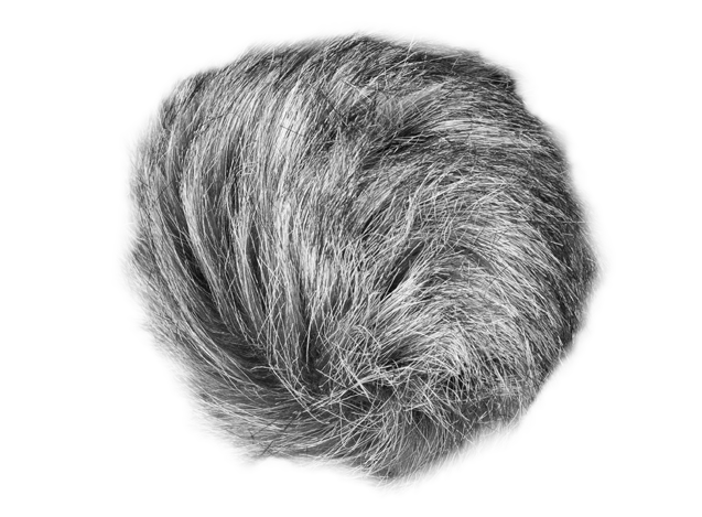 Zoom Universal Windscreen