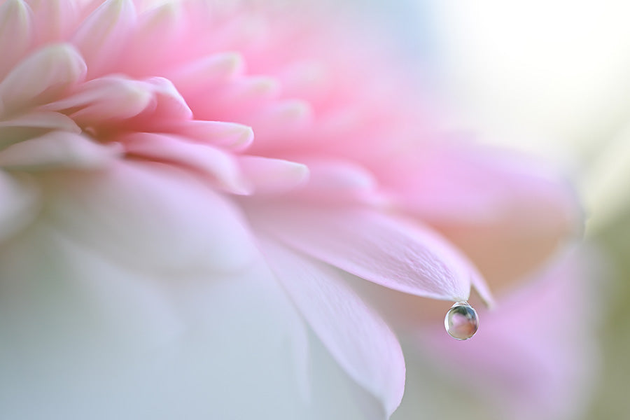 Nikon Z6 III FX-Format Mirrorless Camera