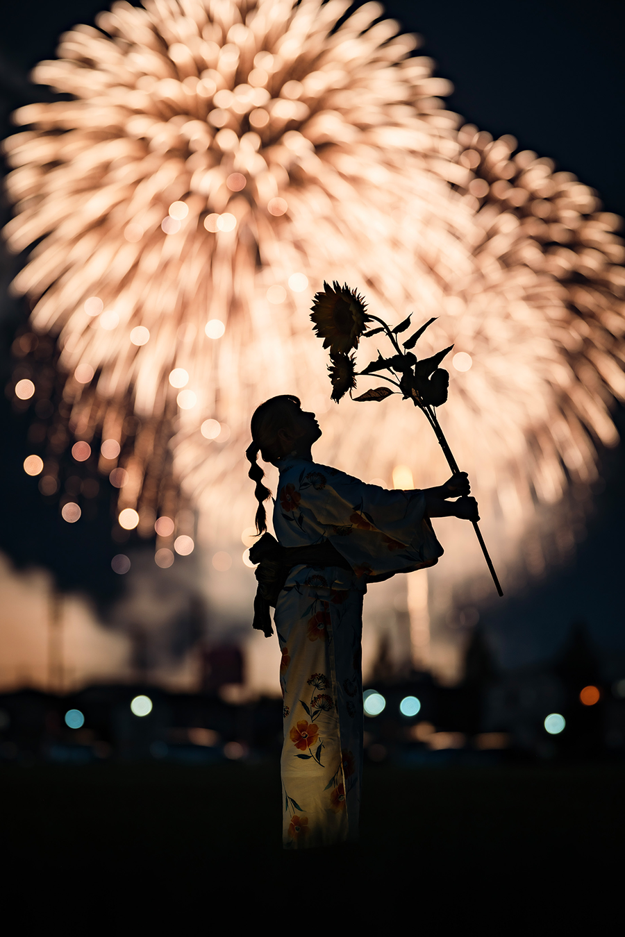 Nikon NIKKOR Z 135mm f/1.8 S Plena Lens