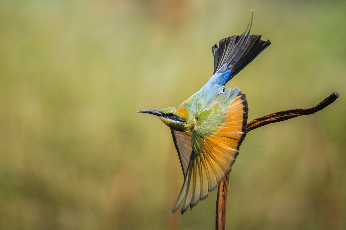 Nikon Z 8 FX-format Mirrorless Camera, with 24-120mm Lens Kit