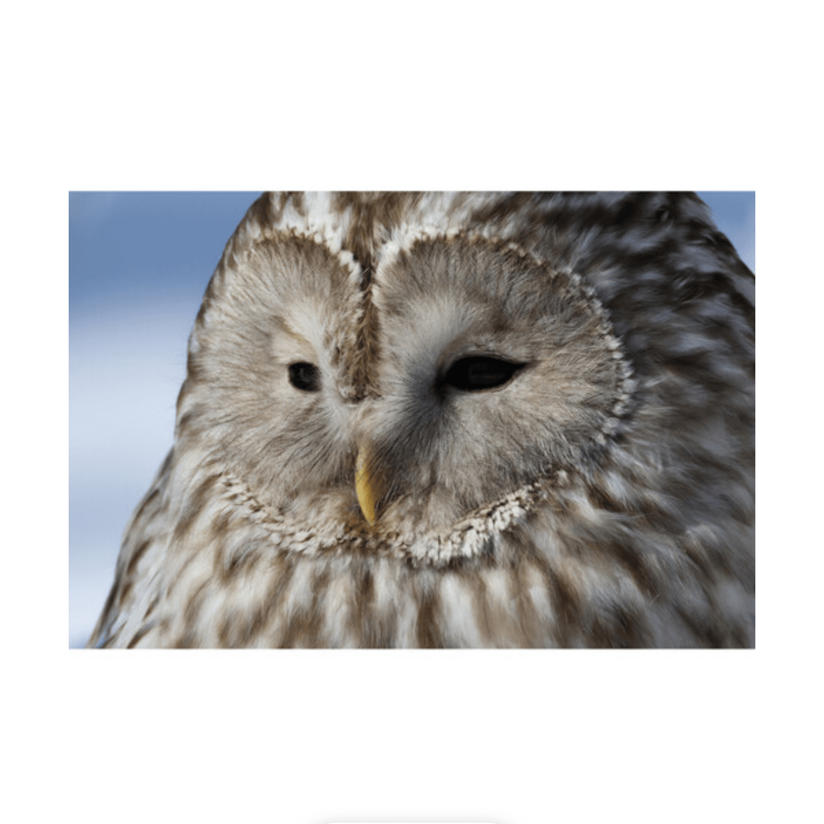 Canon EOS R7 Mirrorless Digital Camera with 18-150mm f/3.5-6.3 IS STM Lens