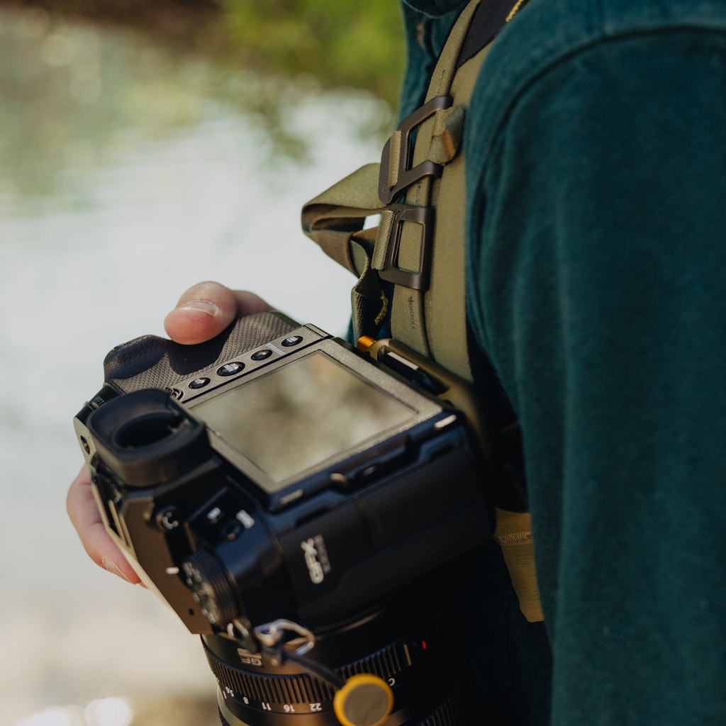 Capture | Kelp