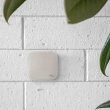 Wall Mount