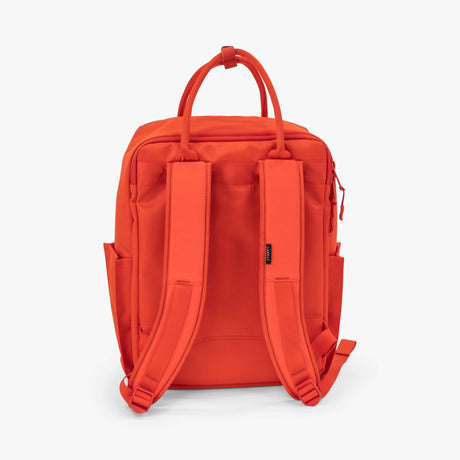 Langly Co Sierra Backpack