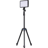 amaran Pano 60c RGB COB Mobile Light Panel (2-Light Kit, Charcoal)