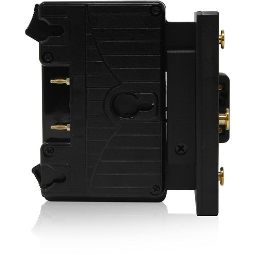 Core SWX Short Form Factor Hotswap Shark-Fin Mount Battery Mount (Gold Mount, 2 x D-Taps)