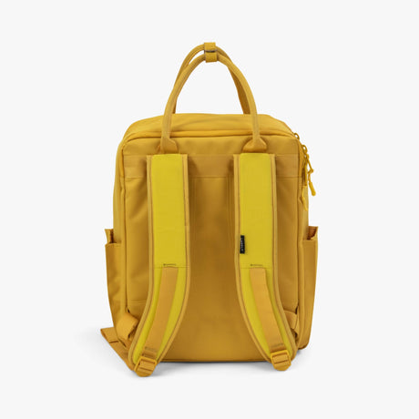 Langly Co Sierra Backpack