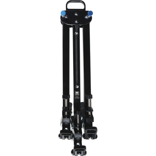 DT06 Dolly