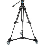 DT06 Dolly