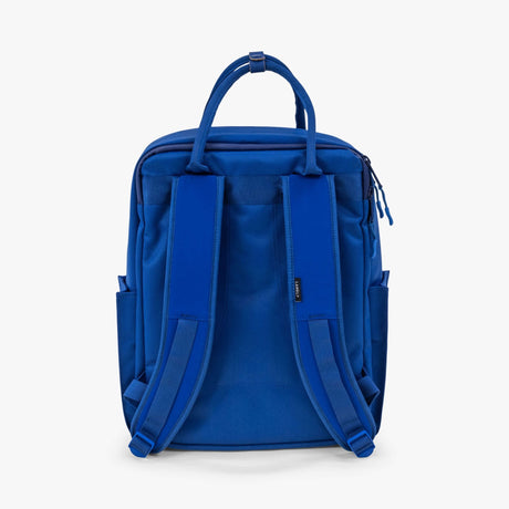 Langly Co Sierra Backpack