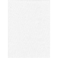 ProMaster Solid Backdrop 10'x12' - White - Image 1