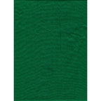ProMaster Solid Backdrop 10'x12' - Chroma Green - Image 1