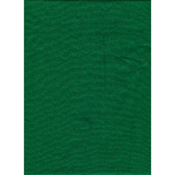 ProMaster Solid Backdrop 10'x12' - Chroma Green - Image 1