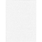 ProMaster Solid Backdrop 10'x20' - White - Image 1