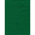 ProMaster Solid Backdrop 10'x20' - Chroma Green  - Image 1