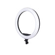 ProMaster Specialist R19RGB 19" LED Ringlight - Image 1