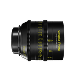 Vespid Prime T2.1 FF/VV