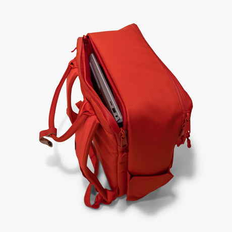 Langly Co Sierra Backpack