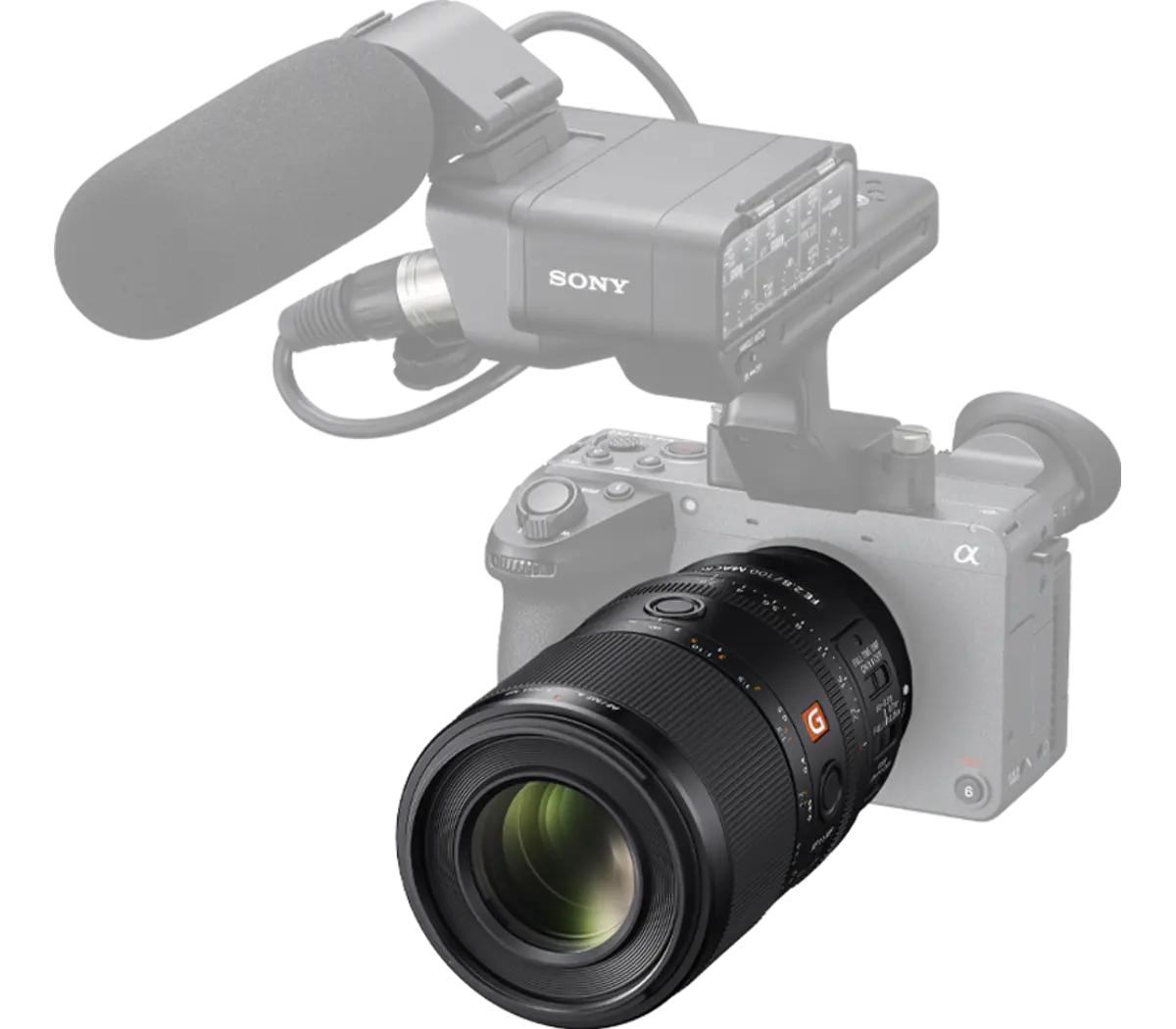 Sony 1.4x max. magnification in Sony's Versatile FE 100mm F2.8 Macro GM OSS - Image 3