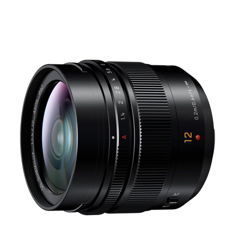 Panasonic LUMIX G Series 100-300mm F4.0-5.6 Camera Lens - Image 3