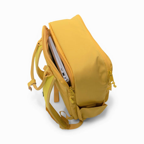 Langly Co Sierra Backpack