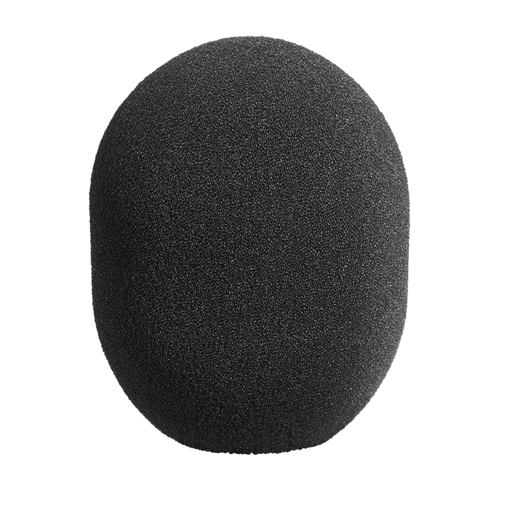 WS 2