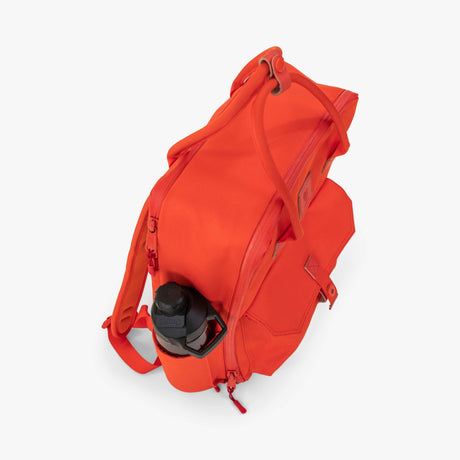 Langly Co Sierra Backpack