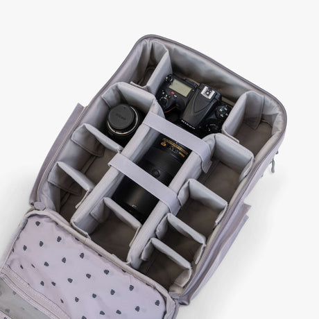 Langly Co Sierra Backpack