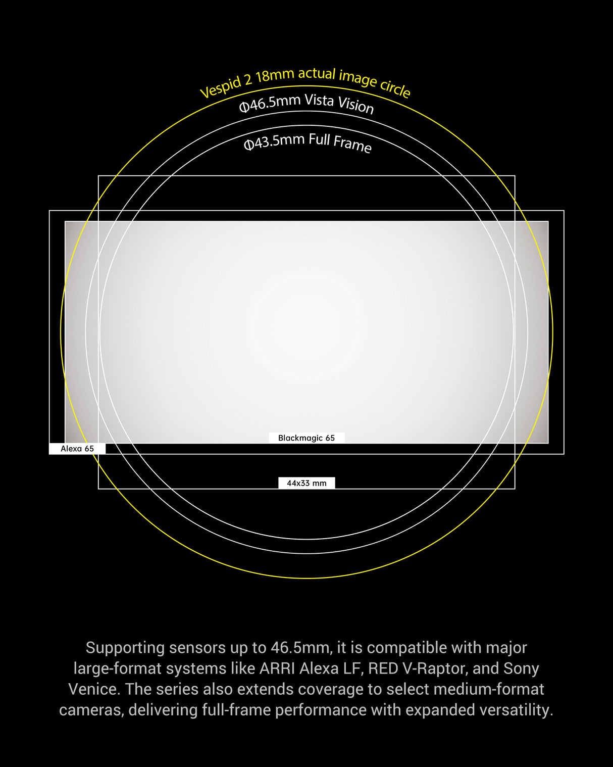 Vespid Prime2 18mm/24mm/35mm/50mm/85mm/105mm T1.9