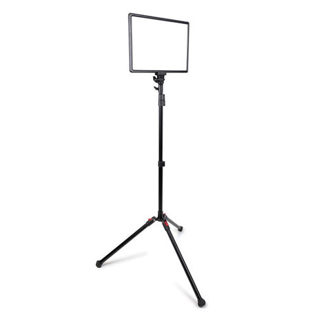 ProMaster Ultrasoft US1014B 2-Light Transport Kit - Bi-Color 10" x 14" - Image 3