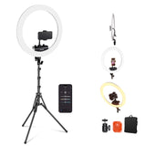 NEEWER RP18B Pro Ring Light Kit