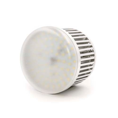 ProMaster LED Studio Lamp 45W/5600K E27 - Professional - Image 2