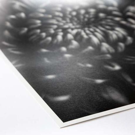 ProMaster Fine Art Baryta Natural Satin Paper 17"x50' Roll - Image 3