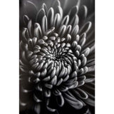 ProMaster Fine Art Baryta Natural Satin Paper 17"x50' Roll - Image 4