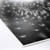 ProMaster Fine Art Baryta Natural Satin Paper 36"x50' Roll - Image 3