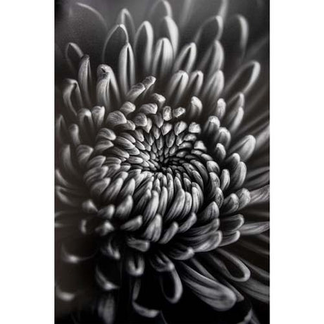 ProMaster Fine Art Baryta Natural Satin Paper 36"x50' Roll - Image 4