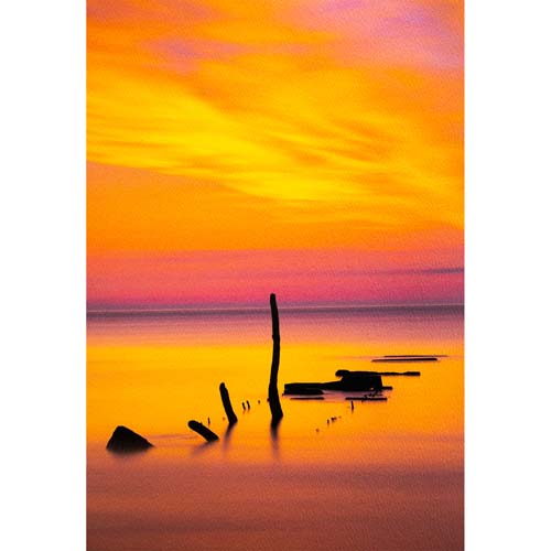 ProMaster Fine Art Cold Press Bright Matte Paper 17"x50' Roll - Image 4