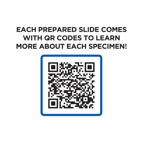 Explore One 52 Piece Smart Slides Activity Set