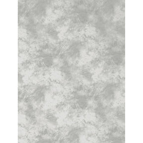 ProMaster Cloud Pattern Backdrop 6'x10' Light Grey - Image 1