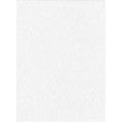 ProMaster Solid Backdrop 6'x10' - White - Image 1