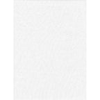 ProMaster Solid Backdrop 6'x10' - White - Image 1