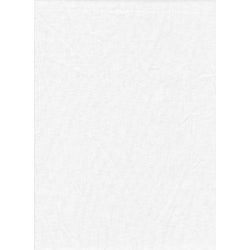 ProMaster Solid Backdrop 6'x10' - White - Image 1
