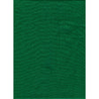 ProMaster Solid Backdrop 6'x10' - Chroma Green - Image 1