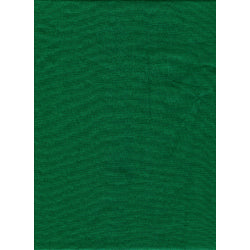 ProMaster Solid Backdrop 6'x10' - Chroma Green - Image 1