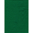 ProMaster Solid Backdrop 6'x10' - Chroma Green - Image 1